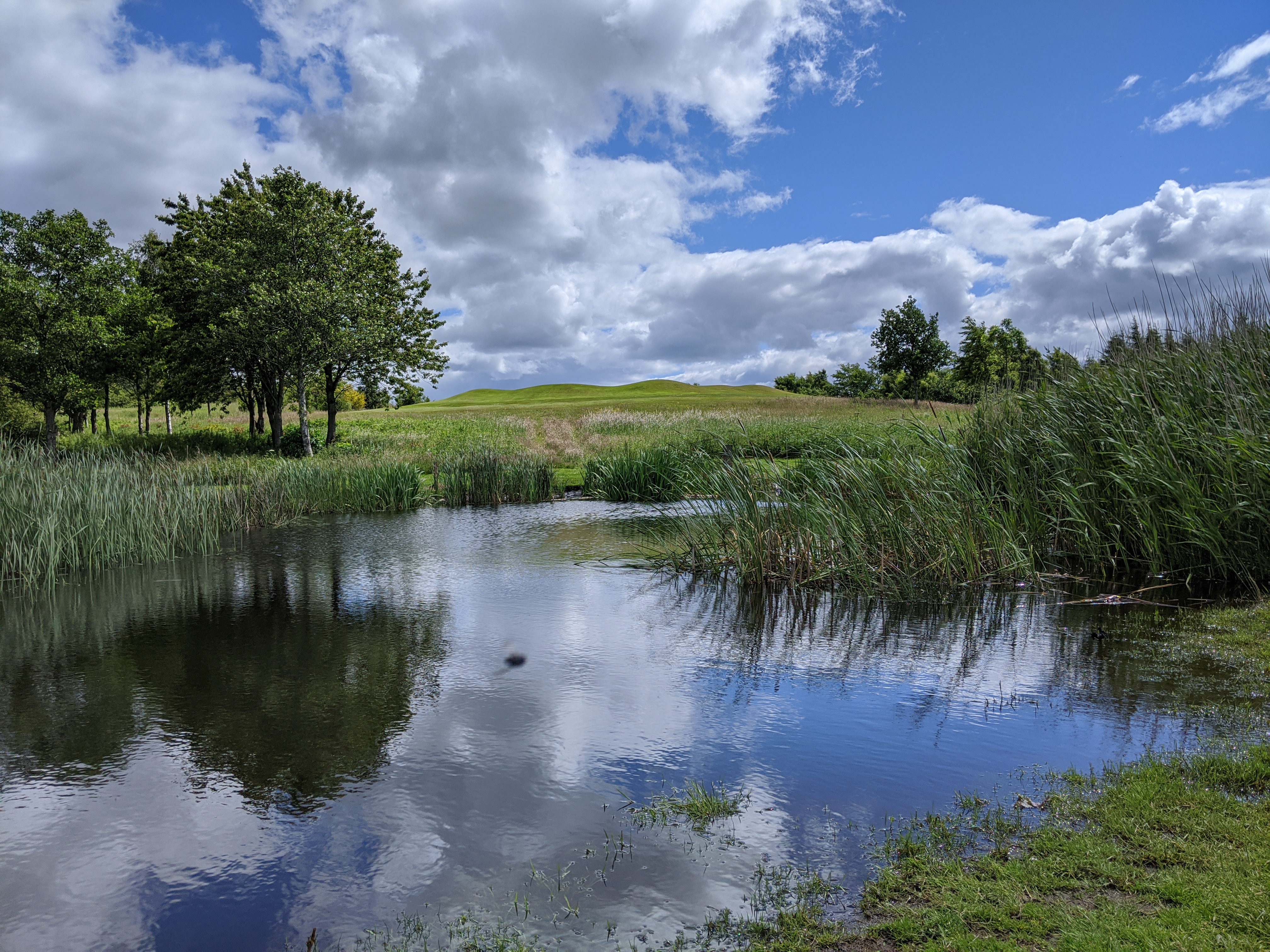 Cowdenbeath Golf Course